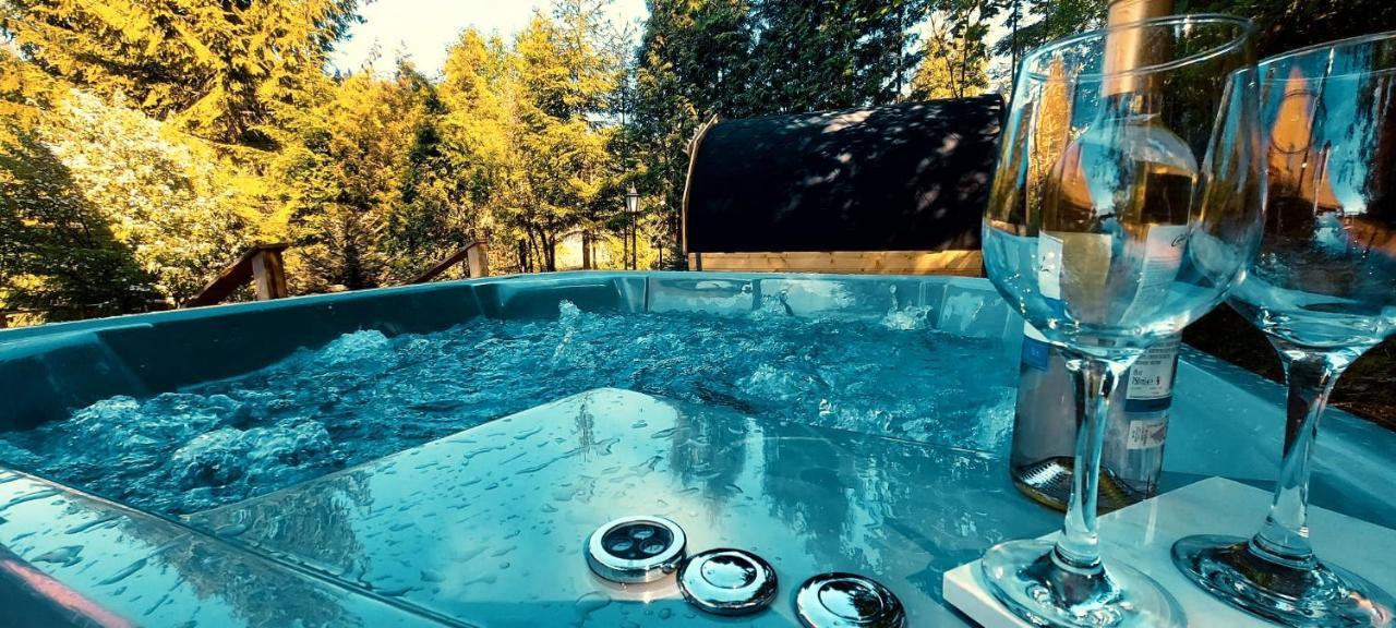 Apartament Widokowy Z Jacuzzi I Sauna Na Wylacznosc - Sikorowka - Dobre Miejsce Wisła Esterno foto